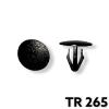 TR265 - 25 or 100  / Nissan, Univ. 